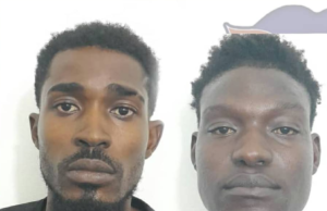 PNH : 2 bandi nan gang ‘Chen mechan’ ak ‘Pierre 6’ anba kòd