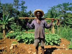 Plis pase 500 Òganizasyon denonse pwosesis rekolonizasyon Ayiti