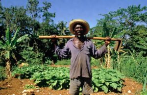 Plis pase 500 Òganizasyon denonse pwosesis rekolonizasyon Ayiti