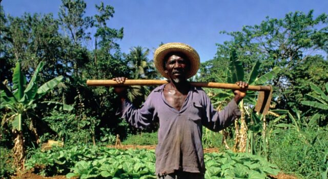 Plis pase 500 Òganizasyon denonse pwosesis rekolonizasyon Ayiti